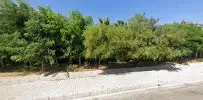 Olive Restaurant - Photo 1