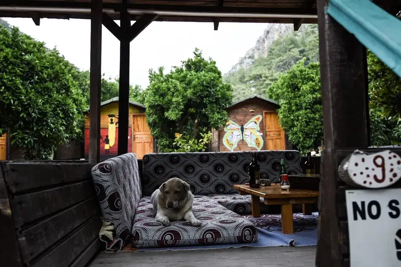 Alaturka Pension Olympos - Photo 9