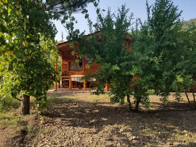 Olympos Apart Pansiyon - Photo 4