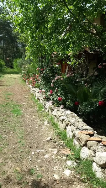 Olympos Apart Pansiyon - Photo 8