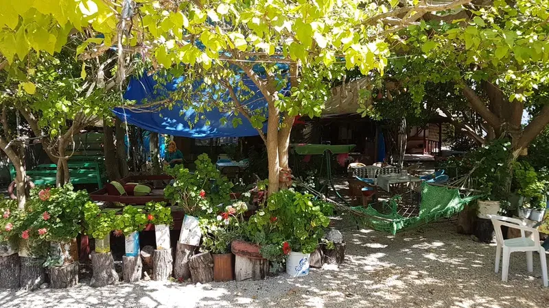 Olympos Gözleme - Photo 3