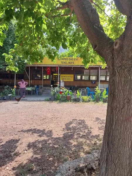 Olympos Gözleme - Photo 9