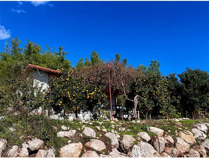 Olympos Portakal Nar Village - Photo 7