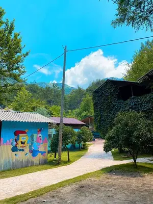 Olympos Çamlık Pansiyon