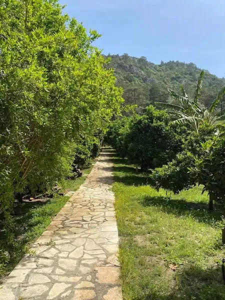 Olympos Çamlık Pansiyon - Photo 6