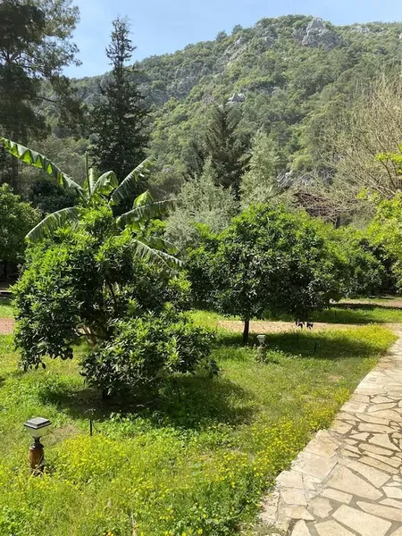 Olympos Çamlık Pansiyon - Photo 9
