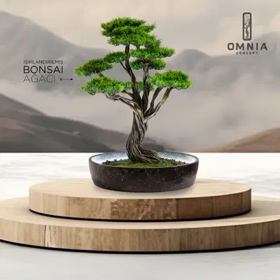 Omnia Concept