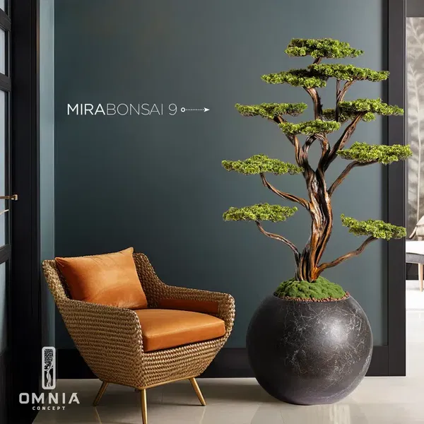 Omnia Concept - Photo 2