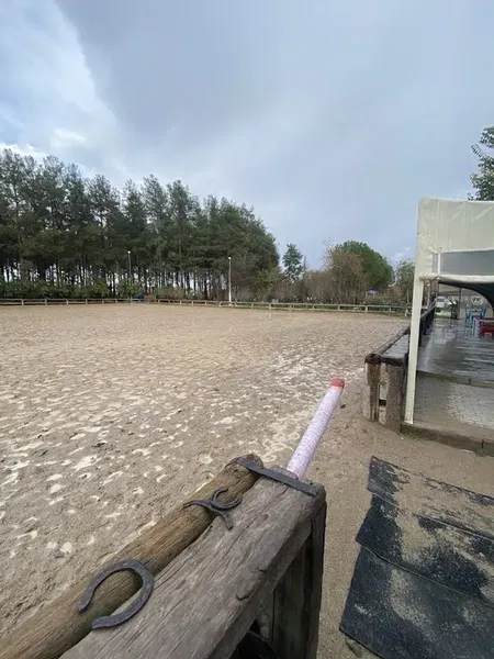 Orfe Tatil Köyü - Photo 5