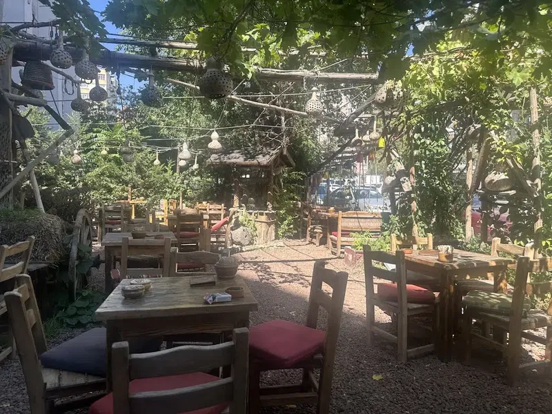 Organik Hemşin Çay Evi - Photo 6