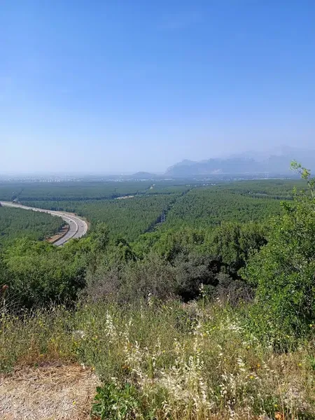 Orman Bölge Müdürlüğü - Photo 3
