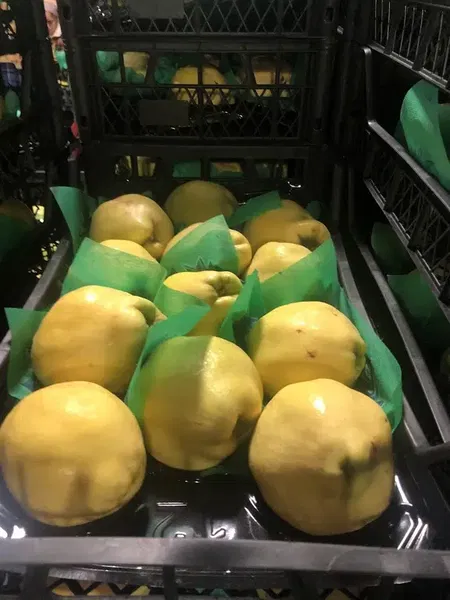 Plain is citrusy Facilities - Photo 4