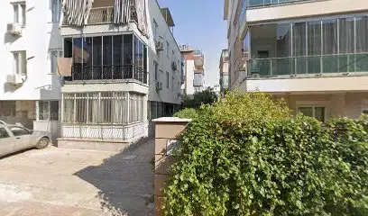 Oğuz Asansörlü Nakliye