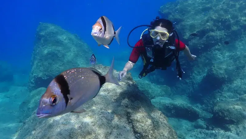 PADİ TEKİROVA DİVİNG Rixos - Photo 4