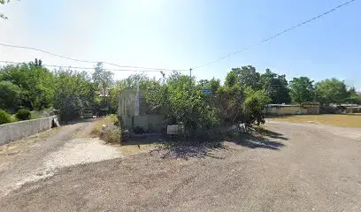 Paintball Turkey