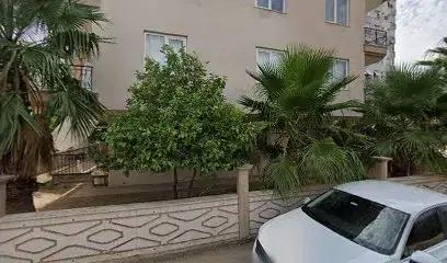 Palace Car Rental