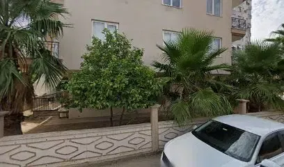 Palace Car Rental - Photo 1