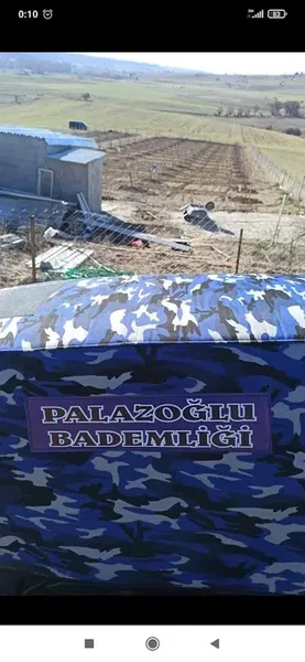 PALAZOĞLU bademligi - Photo 7