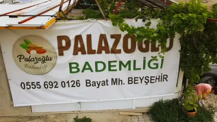PALAZOĞLU bademligi - Photo 8
