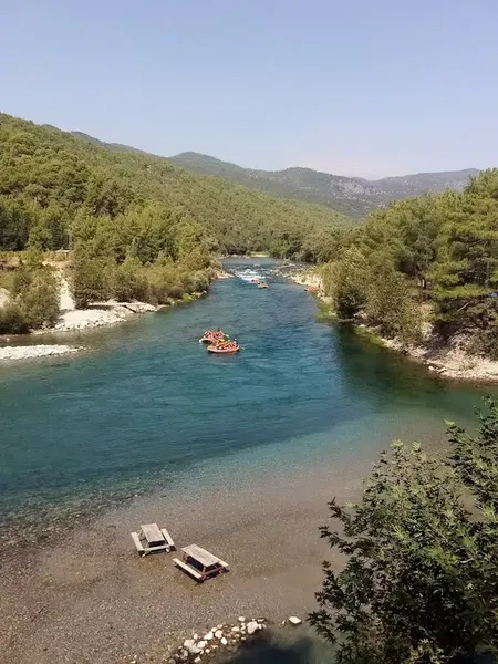 Palm Rafting - Photo 1