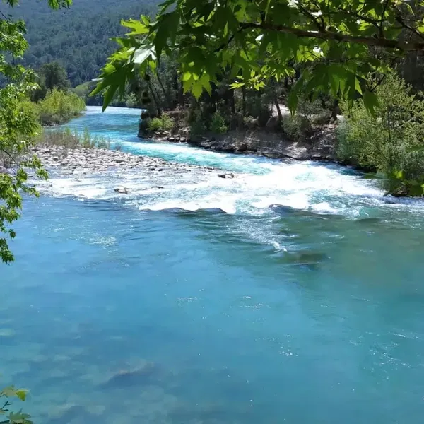 Palm Rafting - Photo 2