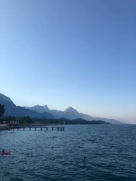 Palmet Beach Resort - Photo 7