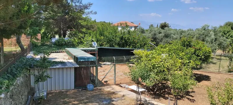 Pancopetpansiyon - Photo 9