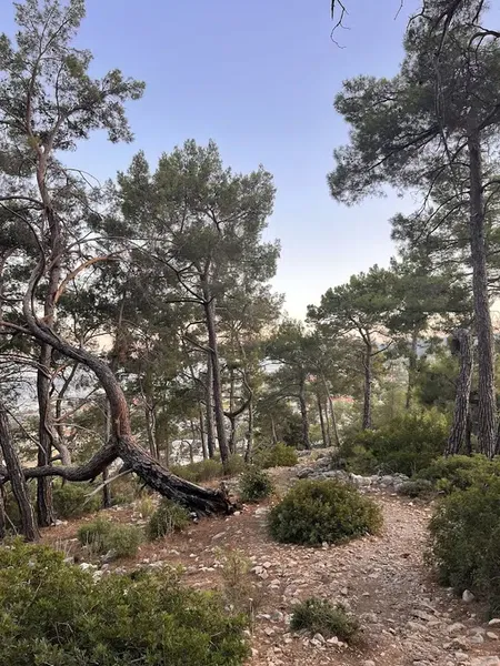 Panorama Of Bays - Photo 5