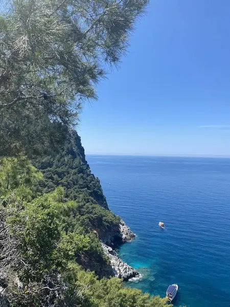 Panoramic Viewpoint - Photo 5