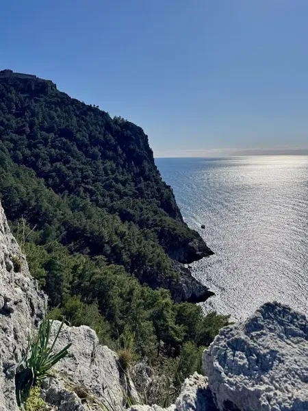 Panoramic Viewpoint - Photo 10