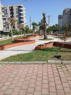 Park Alanı