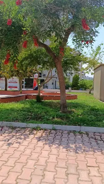 Park Alanı - Photo 5
