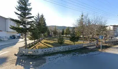 Park - Photo 1