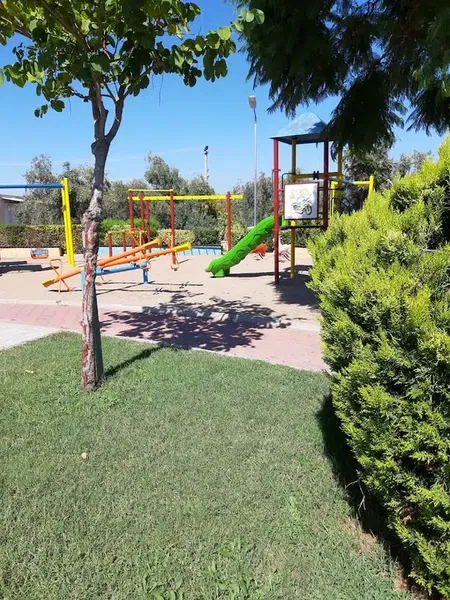 Park motion - Photo 3