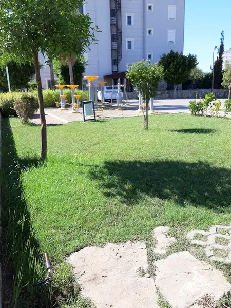 Park motion - Photo 4