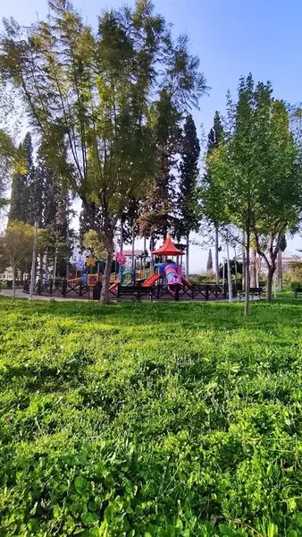Park - Photo 4