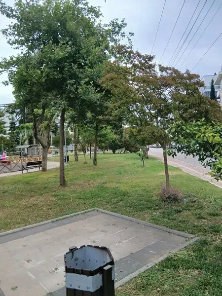 Park - Photo 6