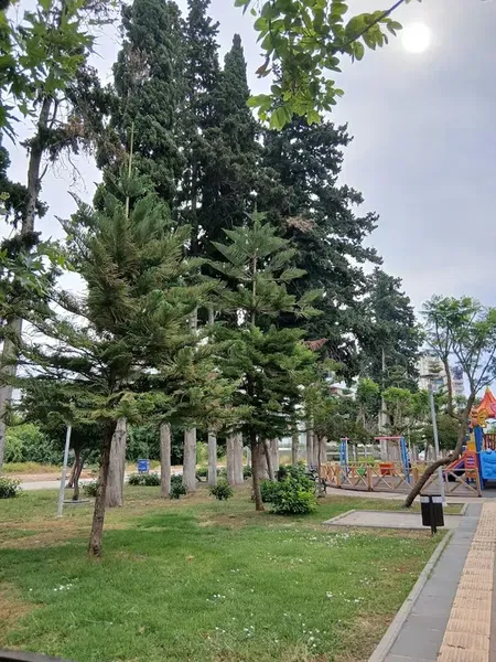 Park - Photo 10