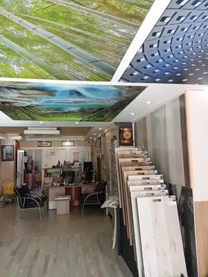 Parke Si̇stre Ci̇la Süpürgeli̇k