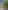 Parsana Büyük Cami fotoğrafı