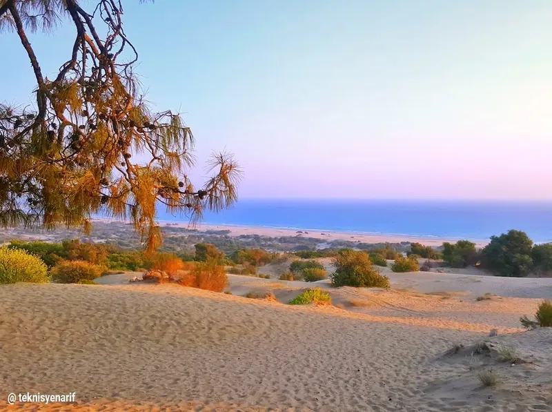 Patara Akvaryum Balığı Üretim Çiftliği - Photo 2