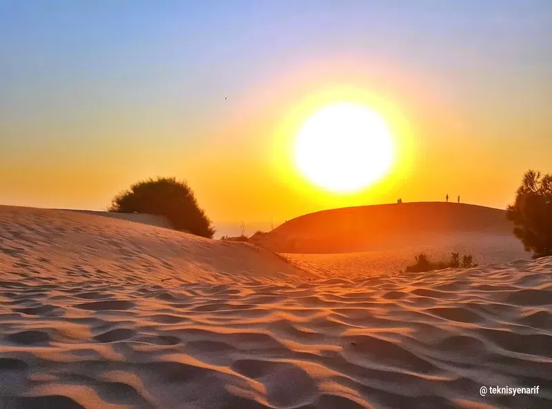 Patara Akvaryum Balığı Üretim Çiftliği - Photo 10