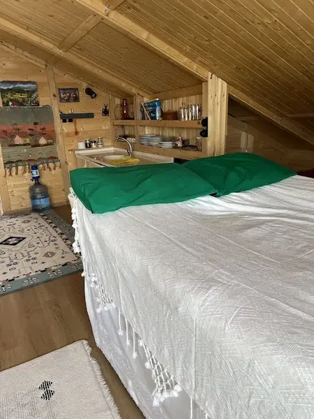 Patika Dağ Evi - Photo 3