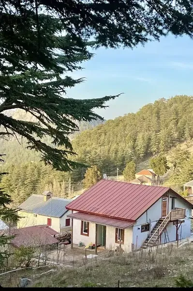 Patika Dağ Evi - Photo 4