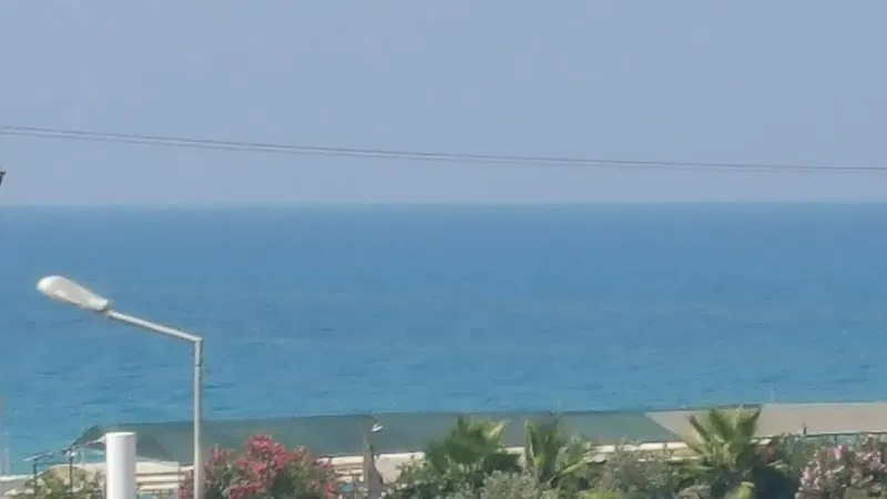 Payallar Belediyesi - Photo 4