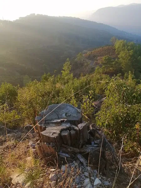 Paşaköy jump - Photo 6