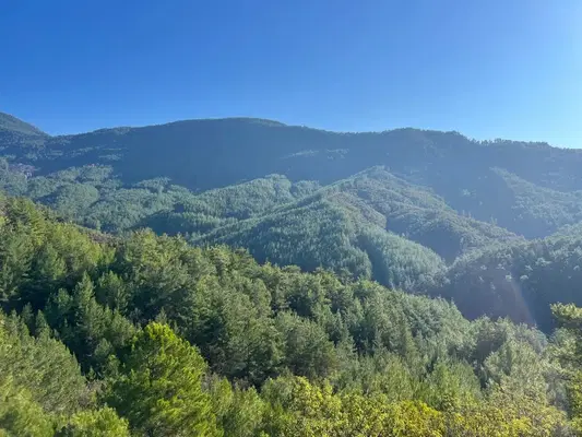 Paşaköy
