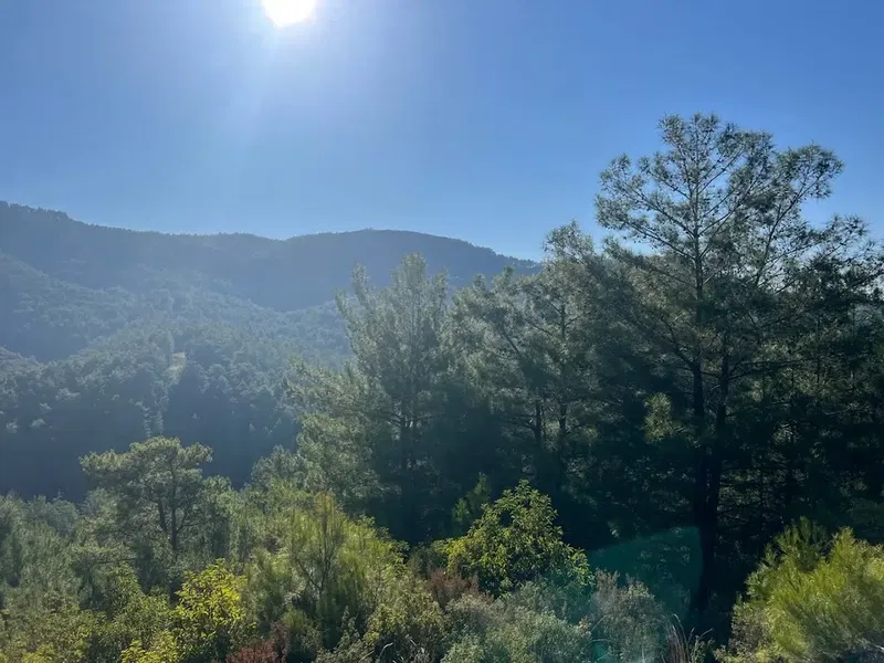 Paşaköy - Photo 3