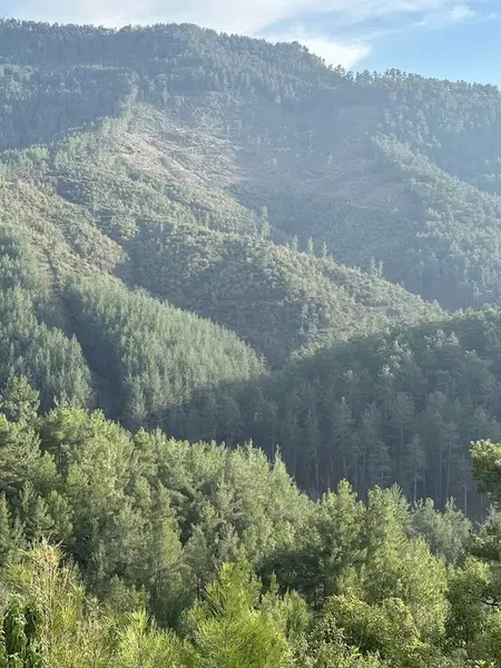 Paşaköy - Photo 4