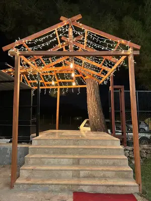 Pembe begonvil wedding